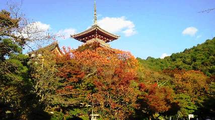 そうだ　京都、行こう。